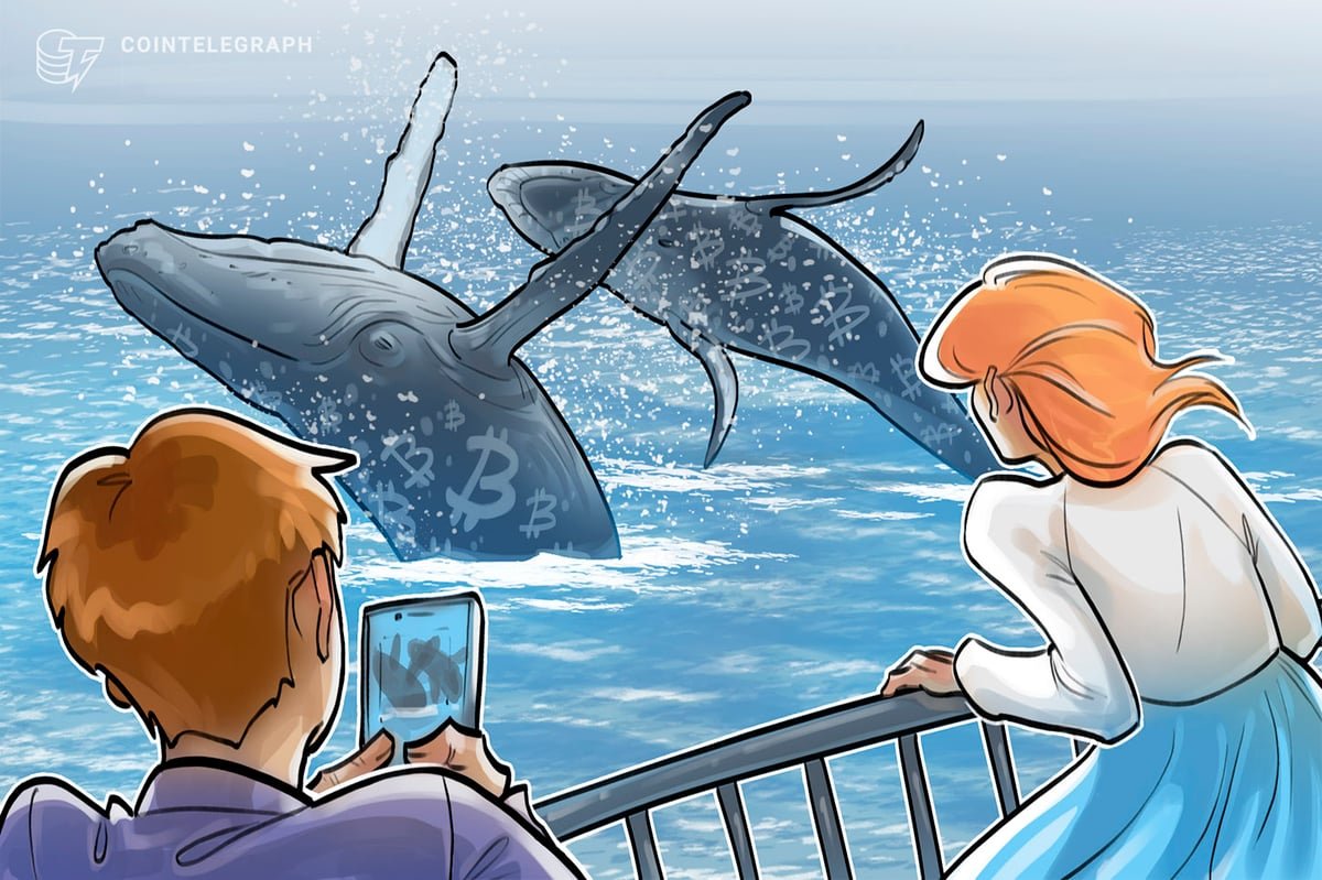 Bitcoin Whales Bought up 61K BTC In a Month Amid Global Uncertainty