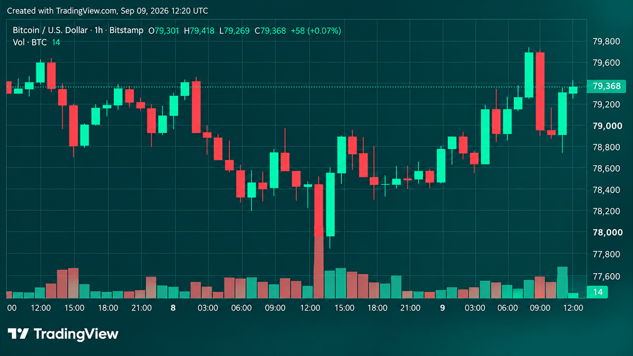 Bitcoin Price Roars Back From $77,603 as Bulls Eye $80,000